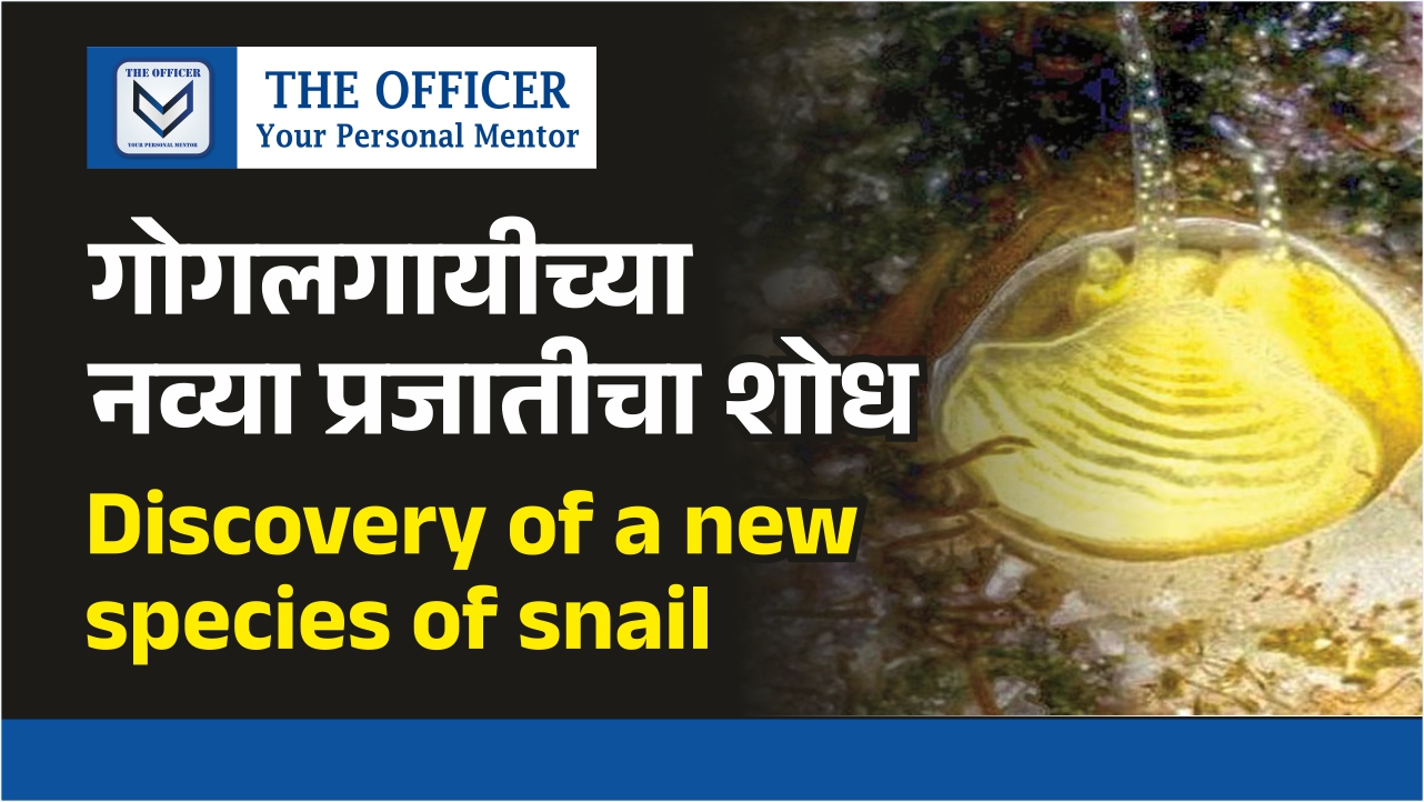 Discovery of a new species of snail