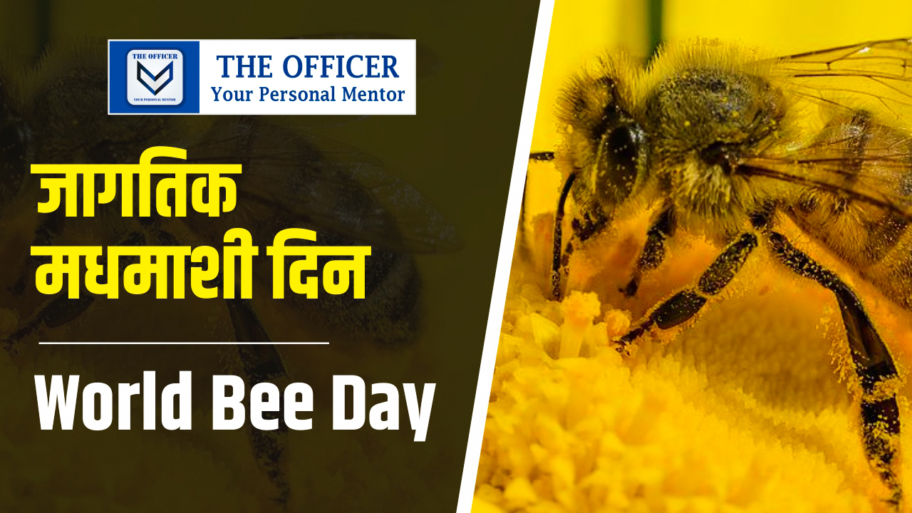 World Bee Day